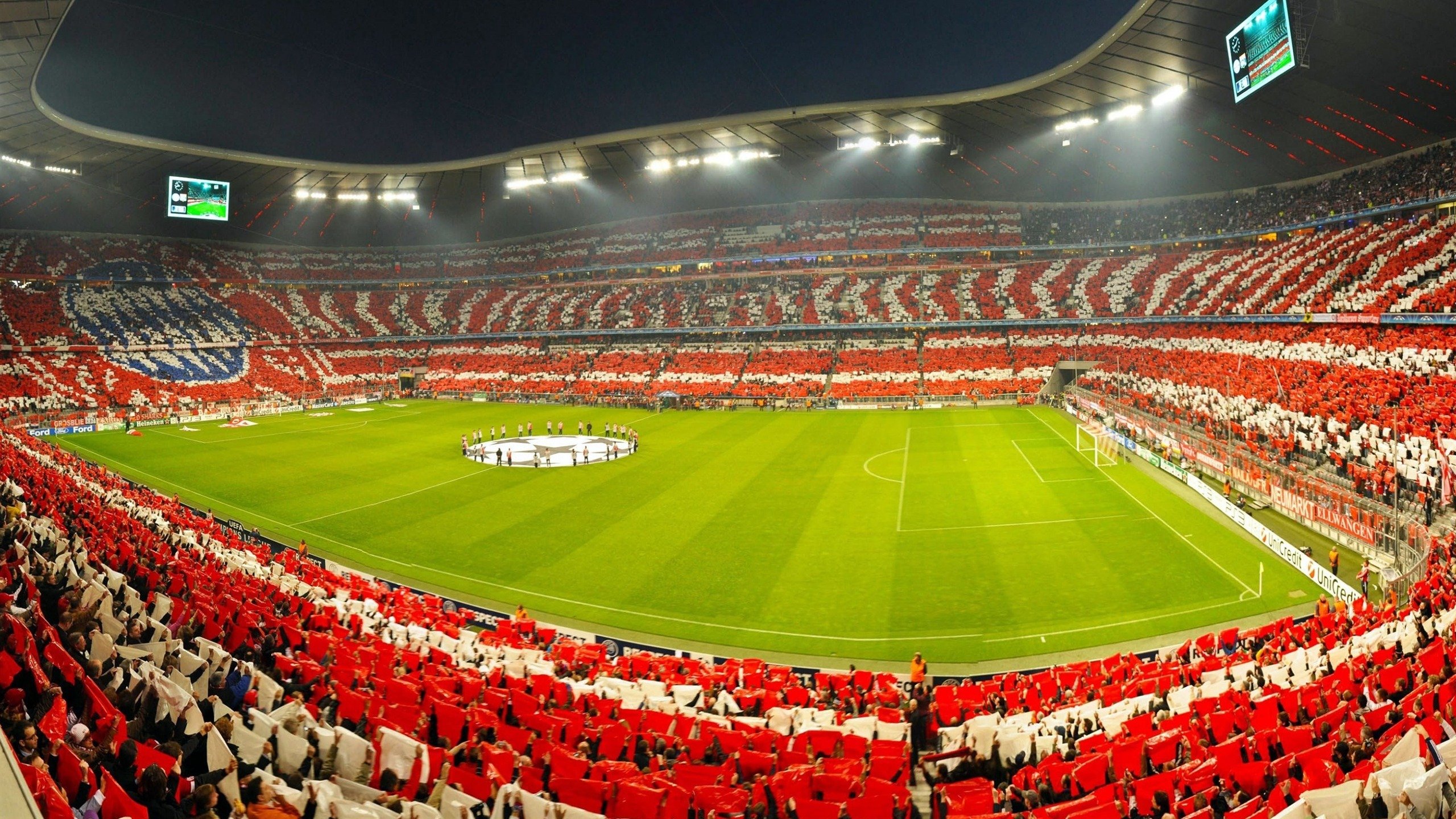 从低谷到巅峰，伤病康复背后的体育精神与科学突破