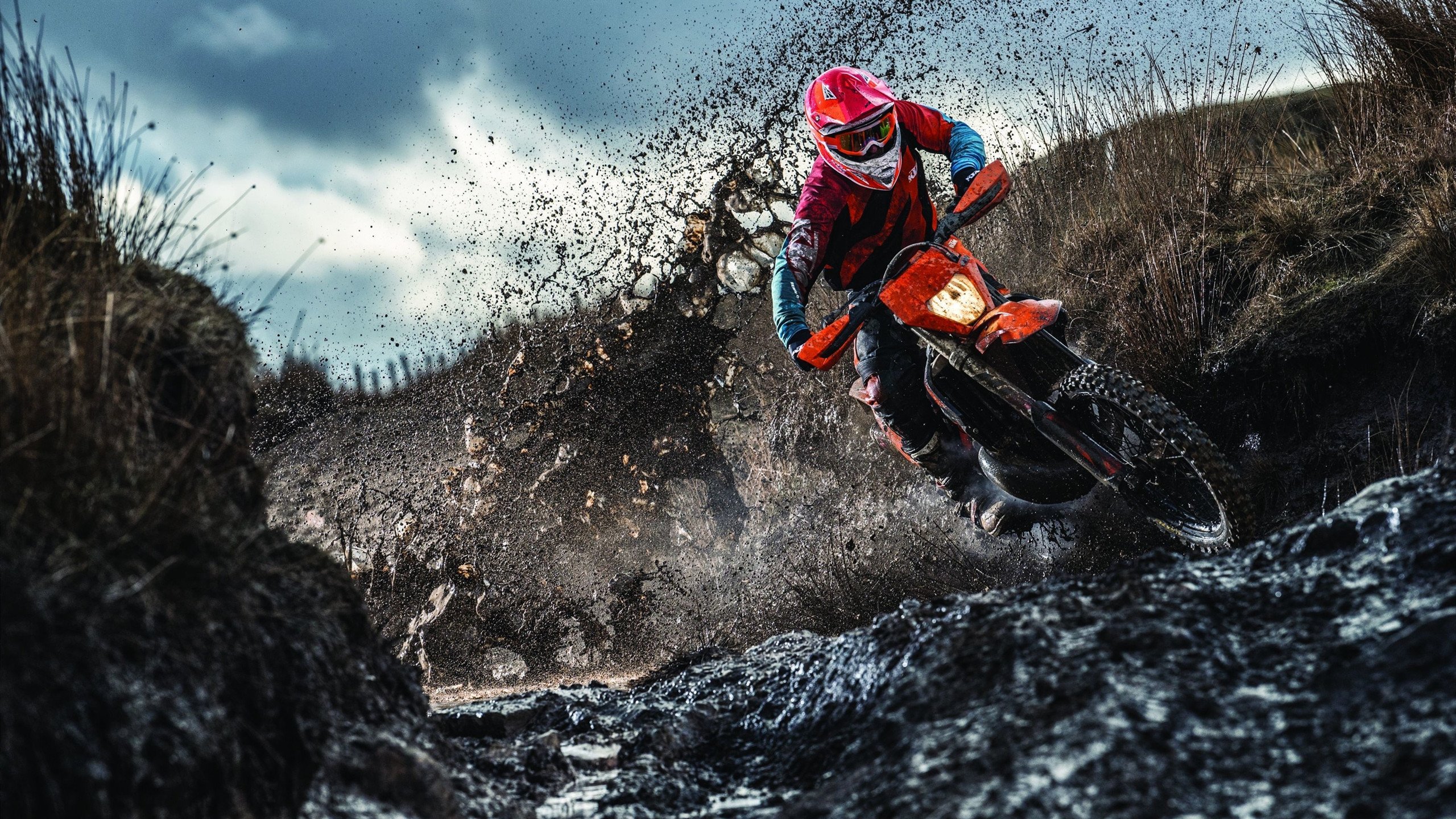 体育仲裁裁决引争议，运动员权益保障再成焦点